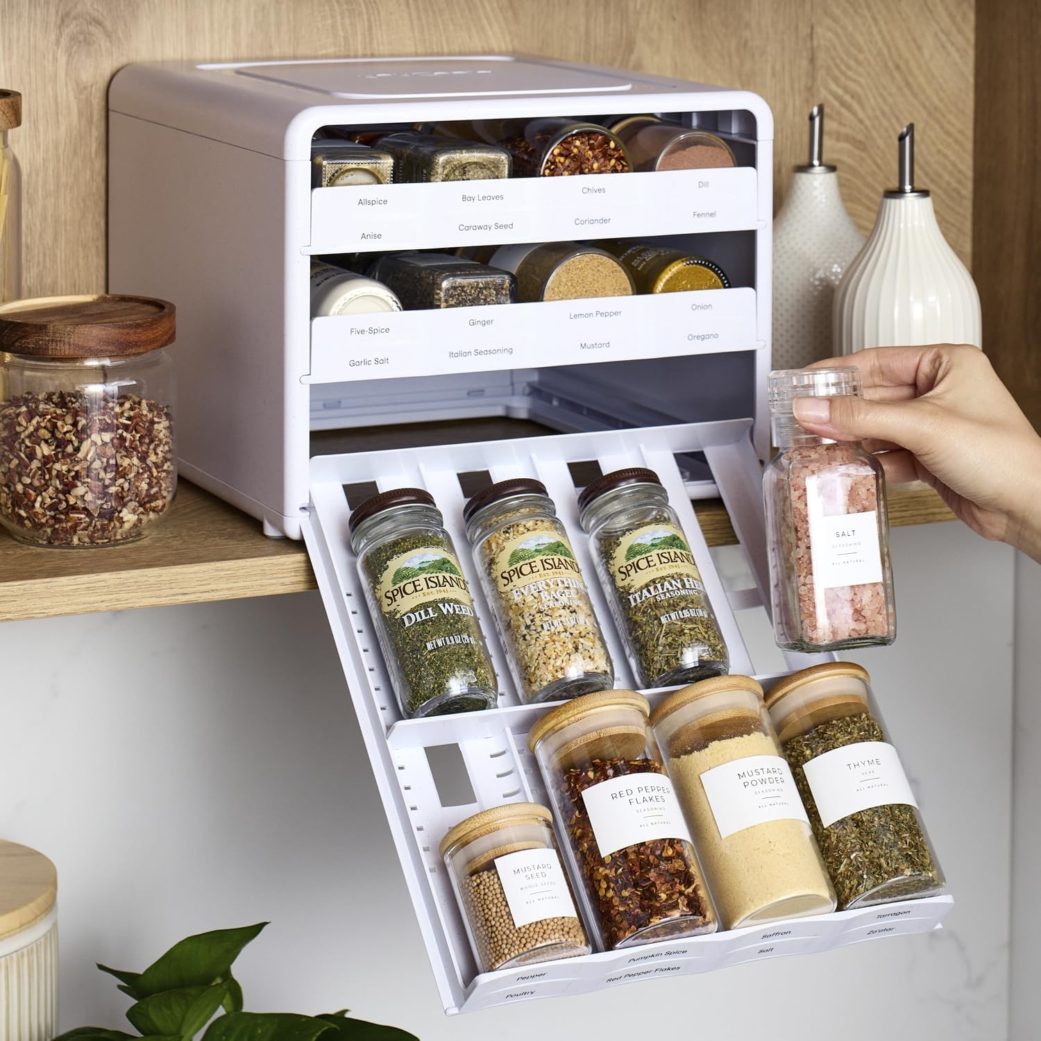 image:imageYouCopia SpiceStack Adjustable Spice Rack Organizer PullDown 24Bottle Seasonings and Spices Holder for Kitchen Cabinet and Pantry Organization with 104 Included Labels Adjustable24Bottle