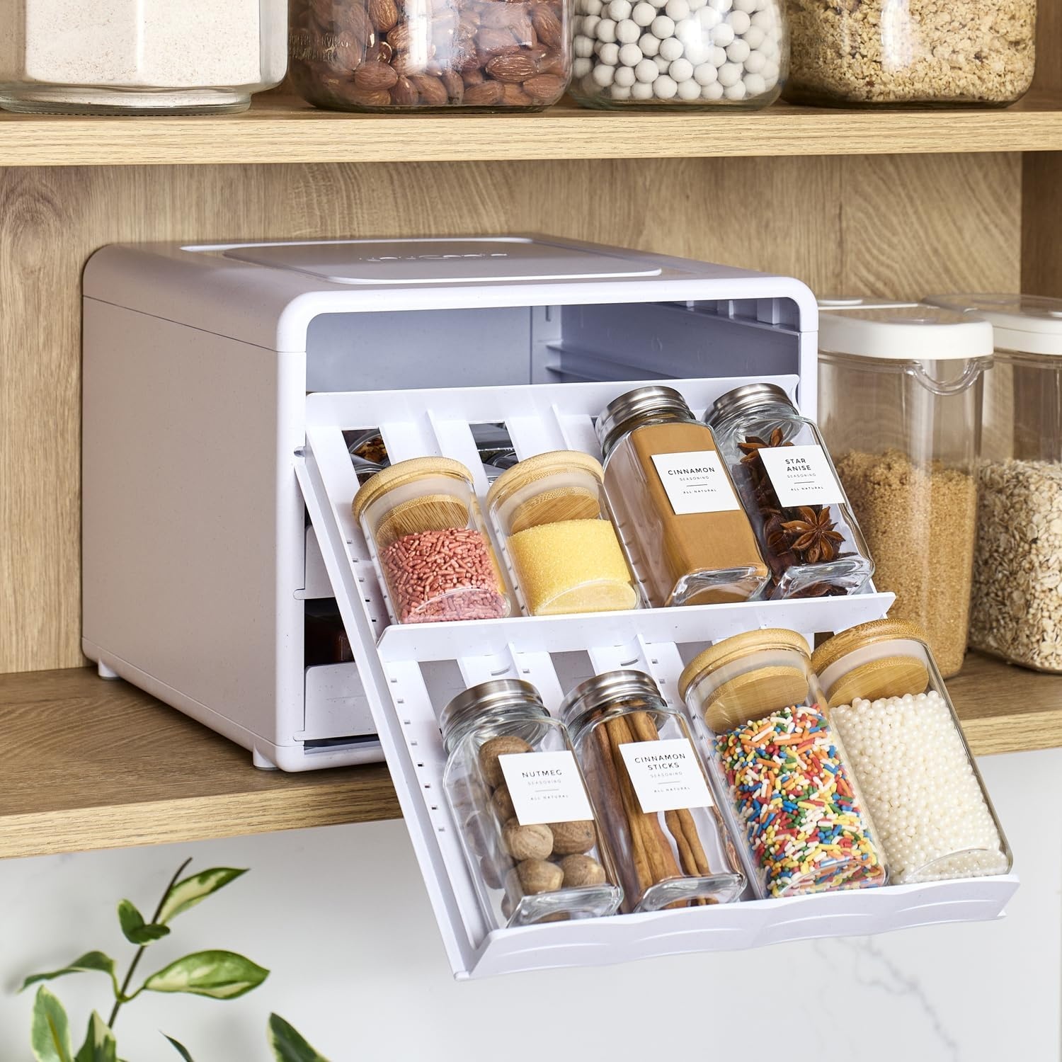 image:imageYouCopia SpiceStack Adjustable Spice Rack Organizer PullDown 24Bottle Seasonings and Spices Holder for Kitchen Cabinet and Pantry Organization with 104 Included Labels Adjustable24Bottle